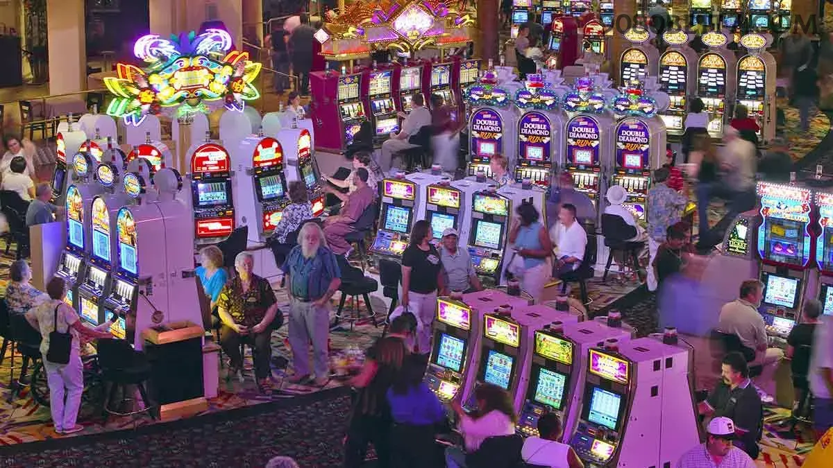 Live Casino Evolution